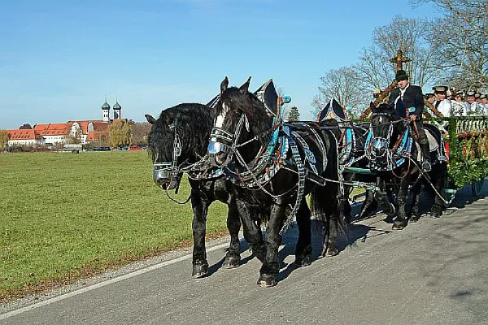Bild: Traditionelle Leonhardifahrt in Benediktbeuern am 9. November 2014