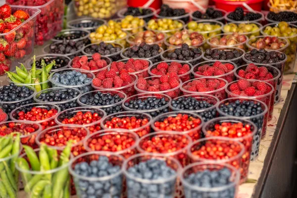 Bild: DIGITALISIERT MILLIARDEN VON PRODUKTEN FÜR EINEN FÜHRENDEN BEERENPRODUZENTEN ZUR ÜBERWACHUNG DER LIEFERKETTE