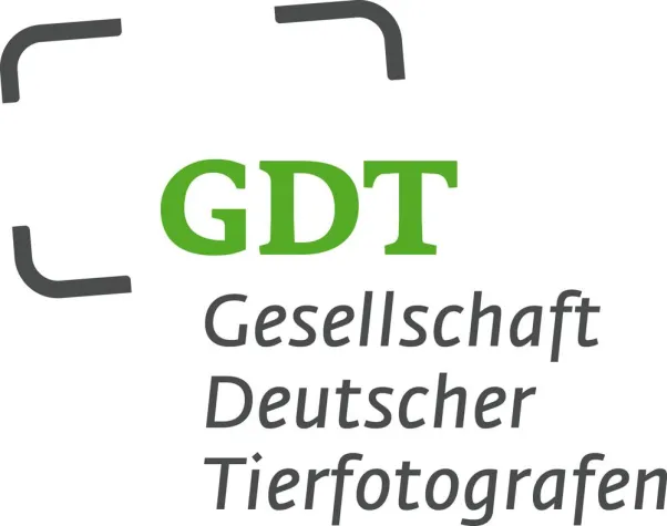 Bild: Neuer Vorstand in der Gesellschaft Deutscher Tierfotografen