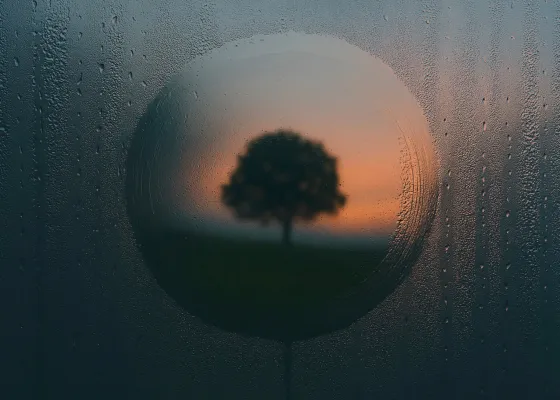 Neues Sachbuch „Krisen als Wendepunkte“ ab sofort im Handel erhältlich: Ein ruhiger, reflektierter Begleiter Bild: Neues Sachbuch „Krisen als Wendepunkte“ ab sofort im Handel erhältlich: Ein ruhiger, reflektierter Begleiter