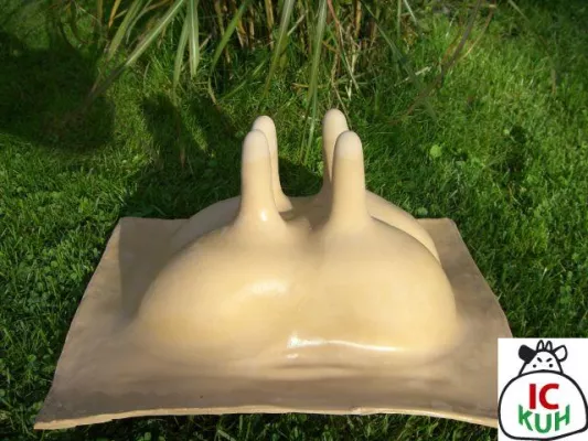 Landwirtschaft zum Anfassen Bild: Landwirtschaft zum Anfassen