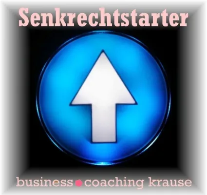 Bild: Business Coaching bei Senkrechtstarter