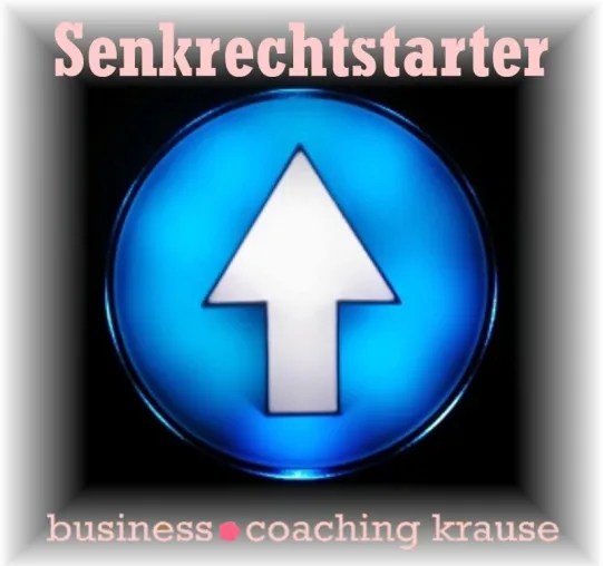 Bild: Business Coaching bei Senkrechtstarter