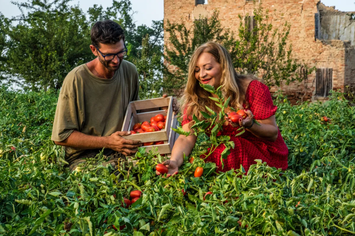 Hermina Deiana mit dem Landwirt Fabio bei der Roma Tomaten Ernte in Italien (© Hermina Deiana)