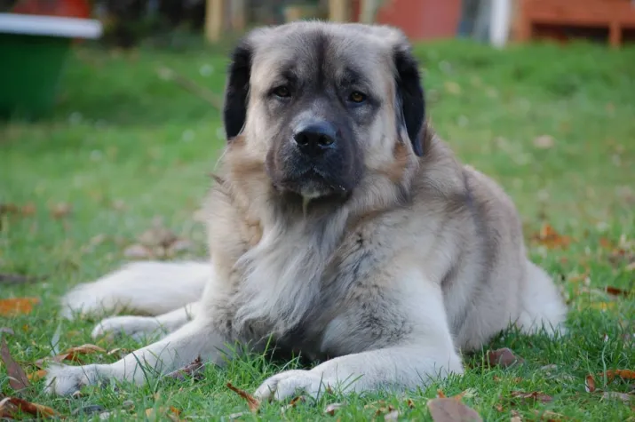 Bild: Gefährten der Hoffnung- Eriks Suche,  Fantasy/ Dystopie mit einzigartigem Erzählstil