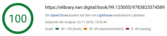 Bild: PageSpeed Index: PubEngine holt das Maximum von 100 Punkten