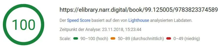Bild: PageSpeed Index: PubEngine holt das Maximum von 100 Punkten