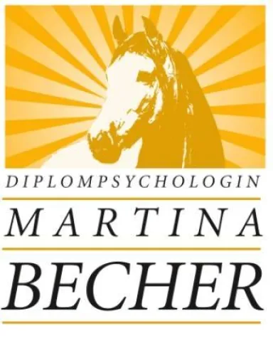 Respekt ja, Angst nein - Pferde spüren die Panik des Reiters Bild: Respekt ja, Angst nein - Pferde spüren die Panik des Reiters