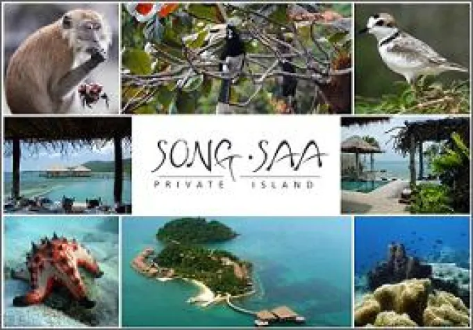 Bild: Die perfekte Kombination aus Naturspektakel und Luxus