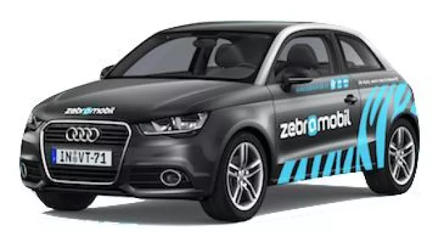 München bekommt neue Zebras Bild: München bekommt neue Zebras