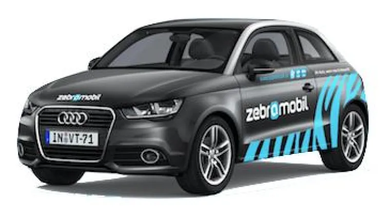 Bild: München bekommt neue Zebras