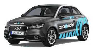 Bild: München bekommt neue Zebras
