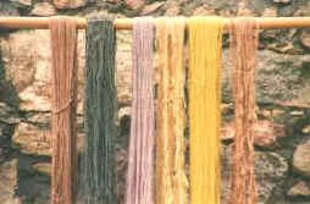 Bild: Kreativ-Ferien auf Sardinien: vom Kochen übers Weinkeltern bis hin zum natürlichen Färben