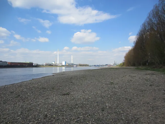 Bild: Klimawandel am Rhein: Anstieg der Wassertemperatur um bis zu 4,2 °C bis Ende des Jahrhunderts erwartet