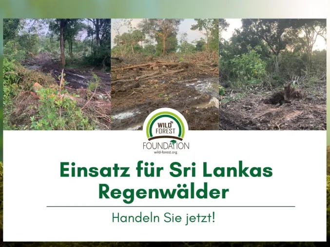 Einsatz für Sri Lankas Regenwälder – Handeln Sie jetzt! Bild: Einsatz für Sri Lankas Regenwälder – Handeln Sie jetzt!