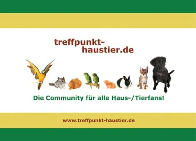 Bild: treffpunkt-haustier.de seit 20.09.07 im Netz