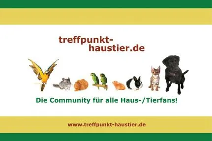 Bild: treffpunkt-haustier.de seit 20.09.07 im Netz