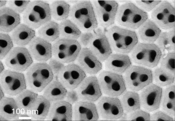 Bild: Ionenpumpe für sauberes Wasser 