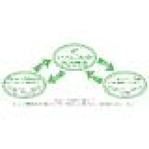 Bild: Das sympathische Werbenetzwerk