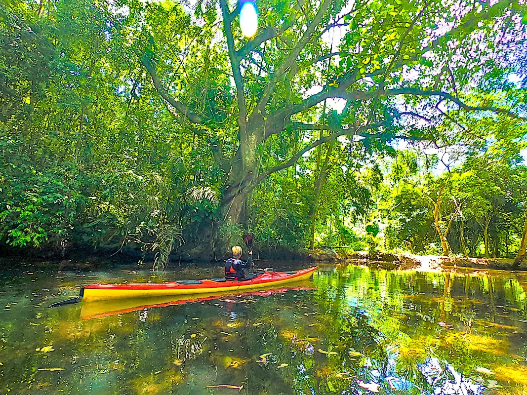 Mit dem Seekajak durch Brasiliens Urwald (© Lars Karkosz)
