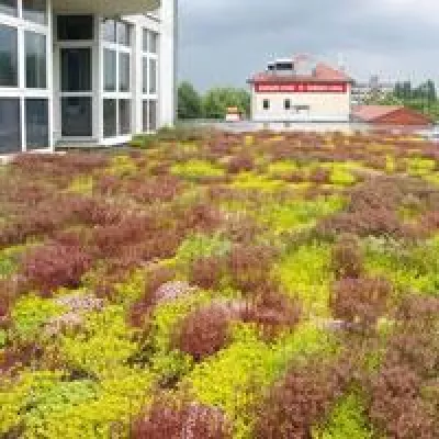 Bild: Dachbegrünung und Klimatisierung