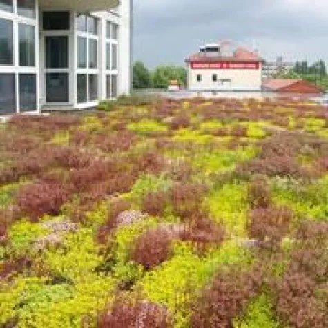 Bild: Dachbegrünung und Klimatisierung