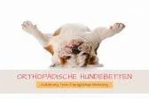 Orthopädische Hundebetten - immer weiter auf dem Vormarsch Bild: Orthopädische Hundebetten - immer weiter auf dem Vormarsch
