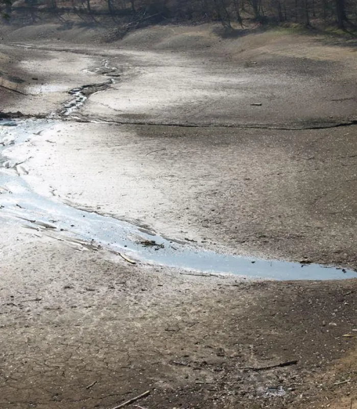 Dürre tritt hauptsächlich in Südostasien als Folge des El Nino auf. (Foto: Proplanta)
