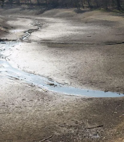 El Nino - ein Wetterphänomen hält Bauern und Rohstoffmärkte in Atem Bild: El Nino - ein Wetterphänomen hält Bauern und Rohstoffmärkte in Atem
