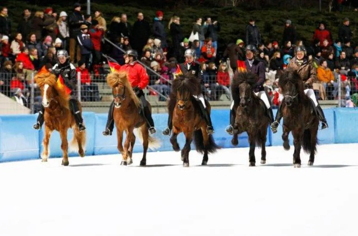 Copyright: Silke Müller-Uloth, www.pferdephotografie.de