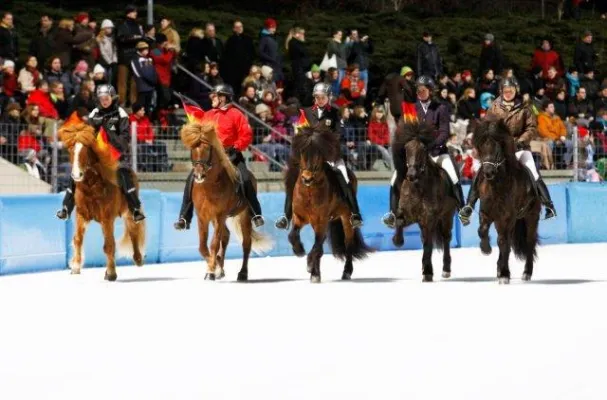 Bild: Staraufgebot bei Europameisterschaft der Islandpferde auf Eis