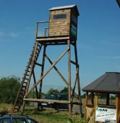 Bild: Hochsitze von der Stange