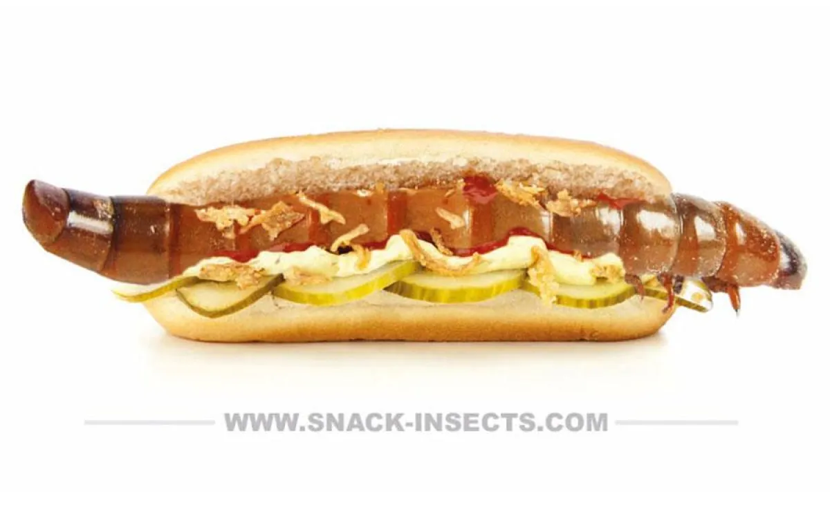 Schon mal Würmer probiert? Die schmecken auch ohne Röstzwiebeln!