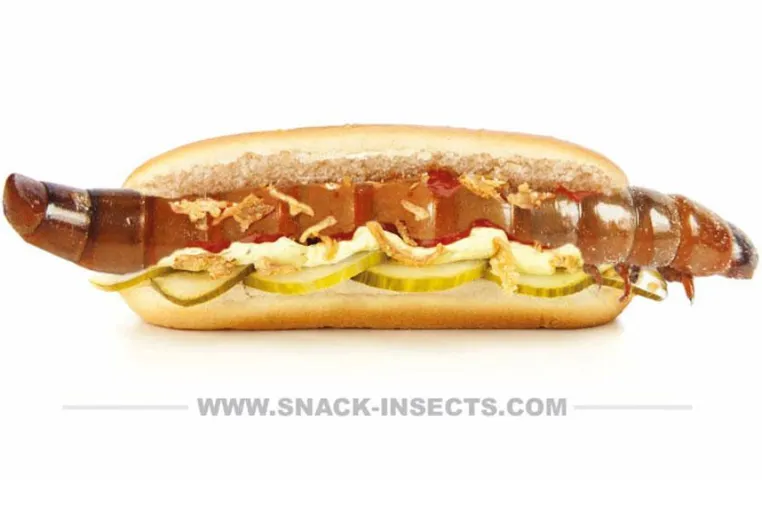 Bild: INSEKTEN ESSEN - DAS URSPRÜNGLICHSTE FASTFOOD DER WELT