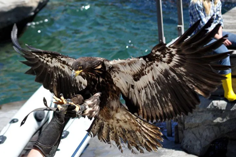 Bild: News aus Yukon Bay