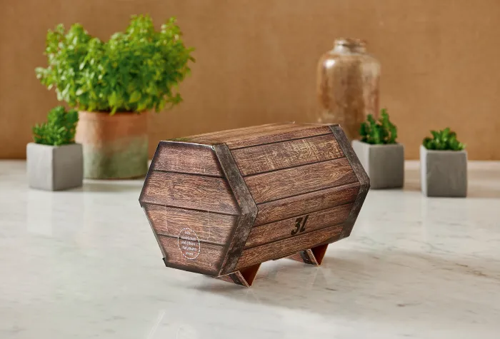 Partyspaß in neuer Form - das Bag in Fässle Bild: Partyspaß in neuer Form - das Bag in Fässle