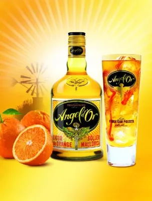 Die Orangenernte in Südeuropa hat begonnen Bild: Die Orangenernte in Südeuropa hat begonnen