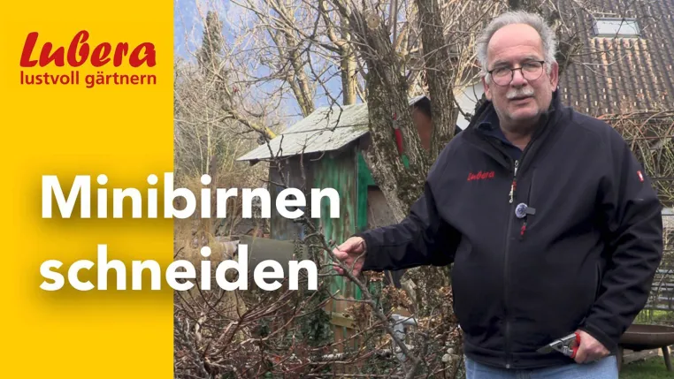 Lubera: Eine Baumschule mit 6000 Pflanzen und über 2500 Videos Bild: Lubera: Eine Baumschule mit 6000 Pflanzen und über 2500 Videos