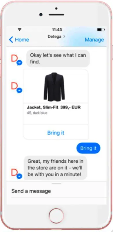 Foto: Chatbot Detega/ © Detego