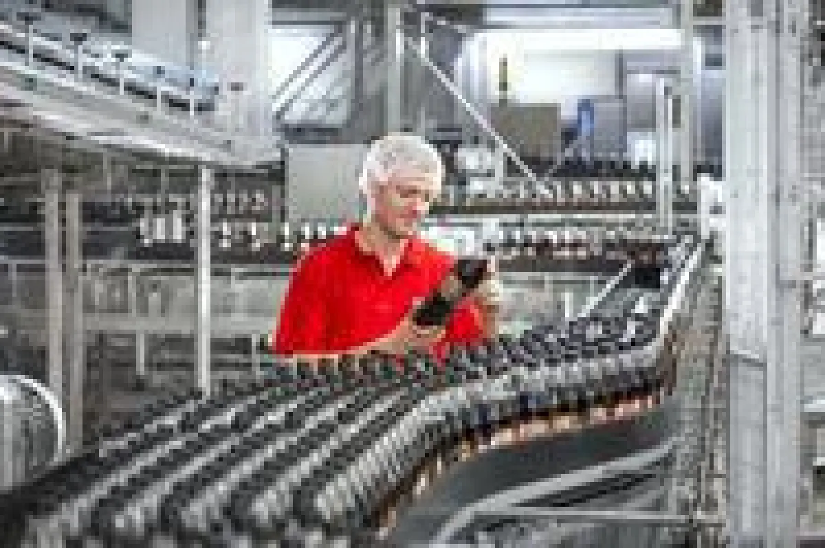 Vita Cola Pur Abfüllung