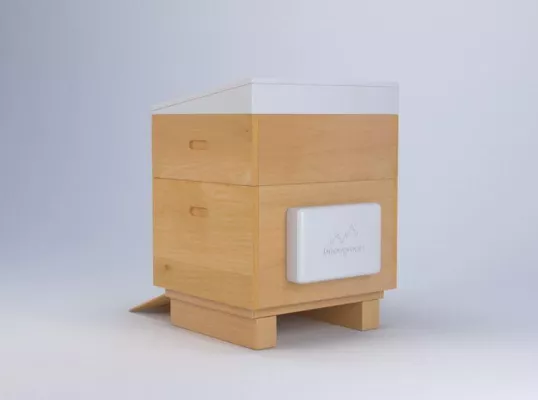 Bild: Ein Bienenstock, der die Gründe für das Verschwinden der Bienen erforscht und Wege sucht sie zu retten