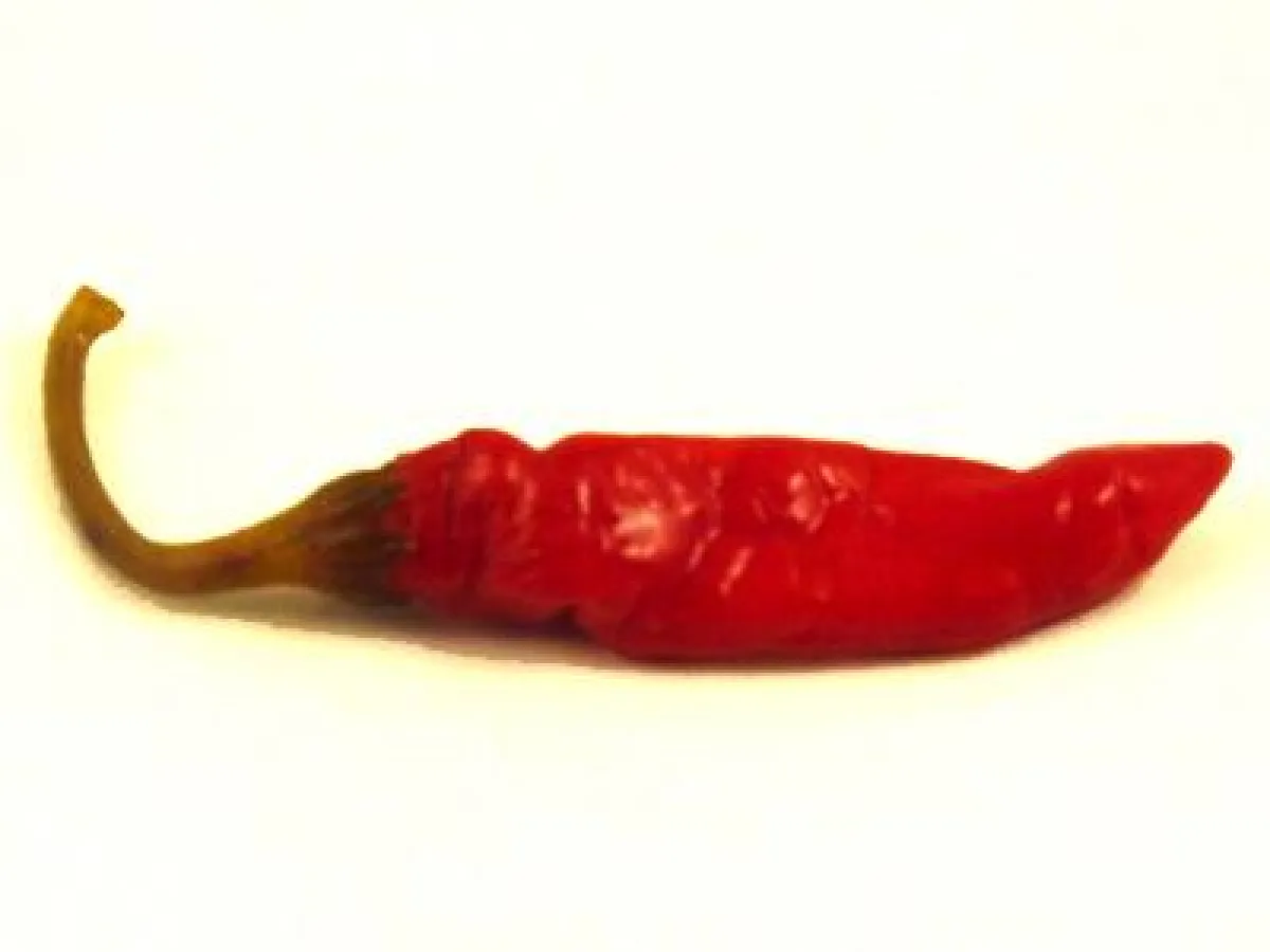 Paprika, auch Chili oder Peperoncini genannt
