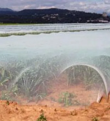 Bild: Stoff für deutsch-französische Kooperationen