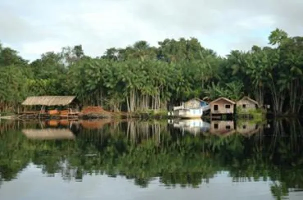 Bild: Mit CO2OL und Vietentours klimaneutral zur Fußball-WM 2014 in Brasilien
