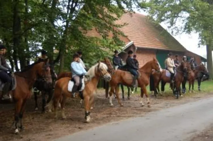 Bild: Fuchsjagd im FIRST-TEAM Reitsportverein Horstmar-Leer e.V.