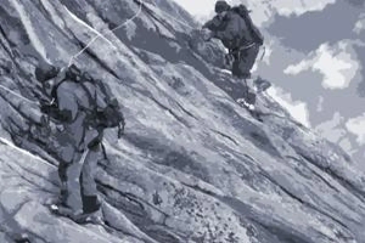 Die Bindung zum Vorgesetzten