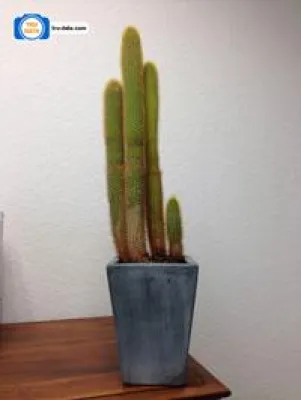 Bild: Tru-Data Cam App für Echtheit von Fotos gestartet