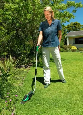 Bild: Rasenkanten in Bestform