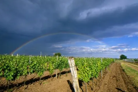 Vintra - Weinreisen für alle Sinne Bild: Vintra - Weinreisen für alle Sinne