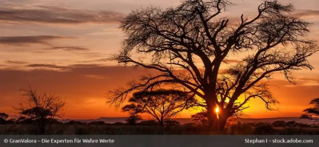 Bild: Verantwortungsvolles Diamanten-Investment: das Kimberley-Zertifikat